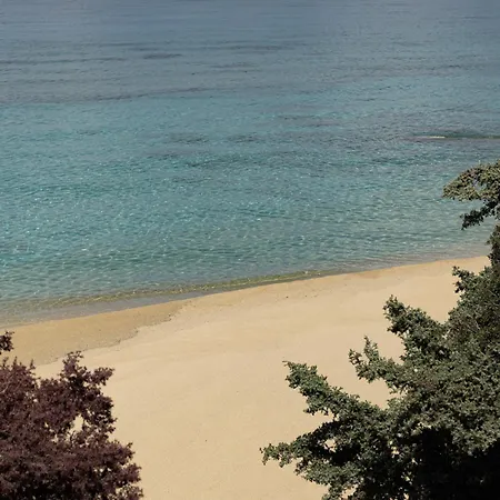 The Key Hotel 4*