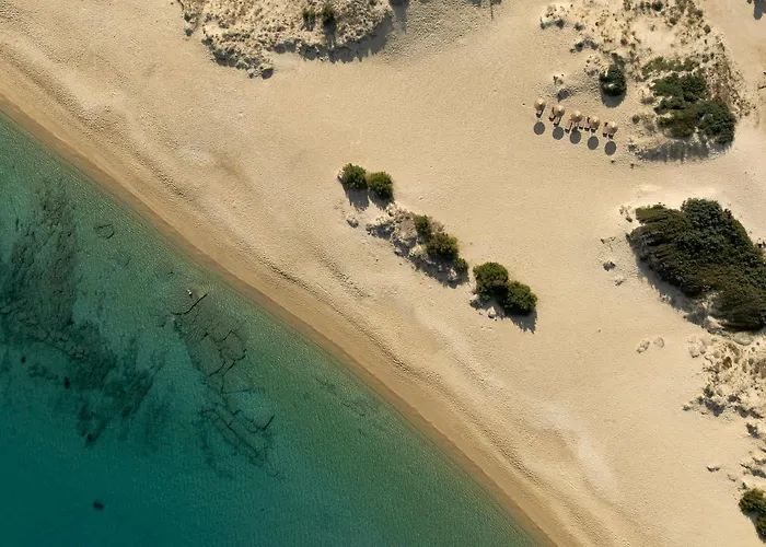 The Key Микри-Вигла